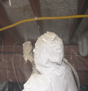 Frankfort KY crawl space insulation
