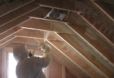 Frankfort Attic Insulation