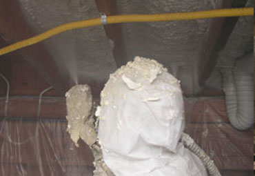 Frankfort Crawl Space Insulation